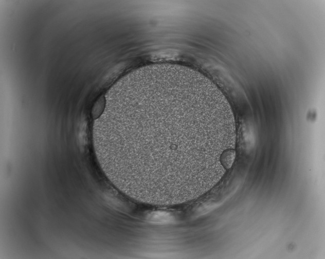 X0000101990224200808151431