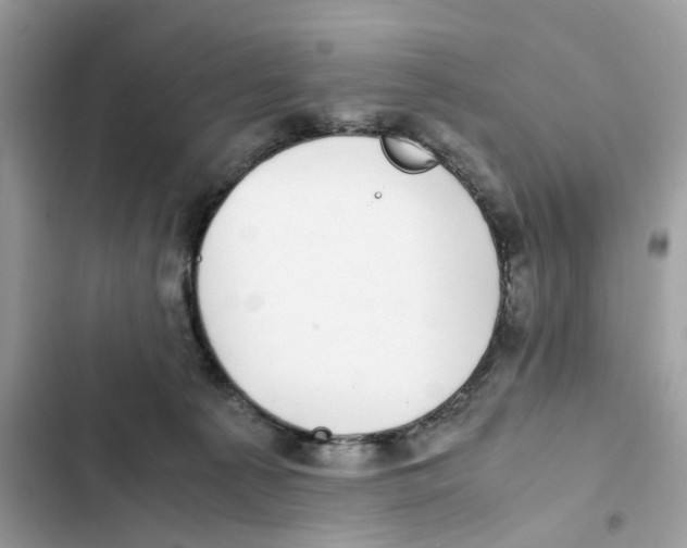 X0000101990225200808151431