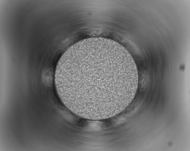 X0000101990226200808151431