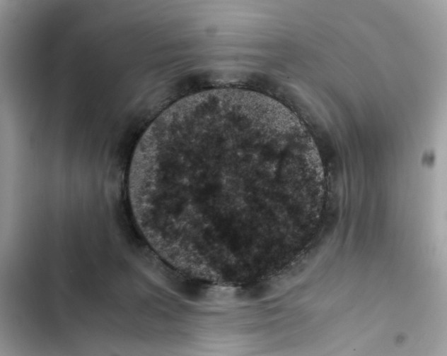 X0000101990227200808151431