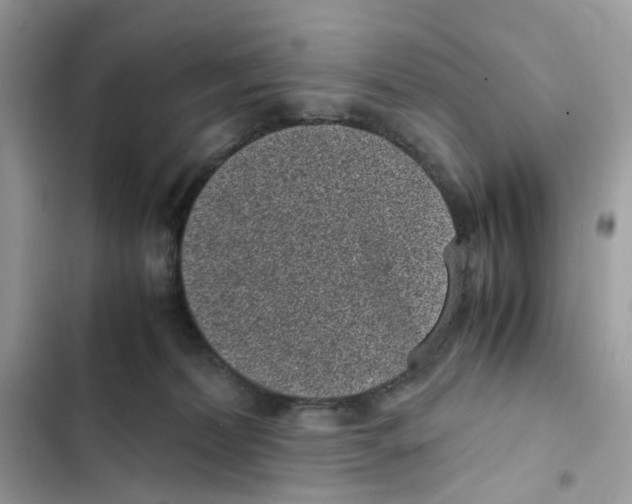 X0000101990228200808151431