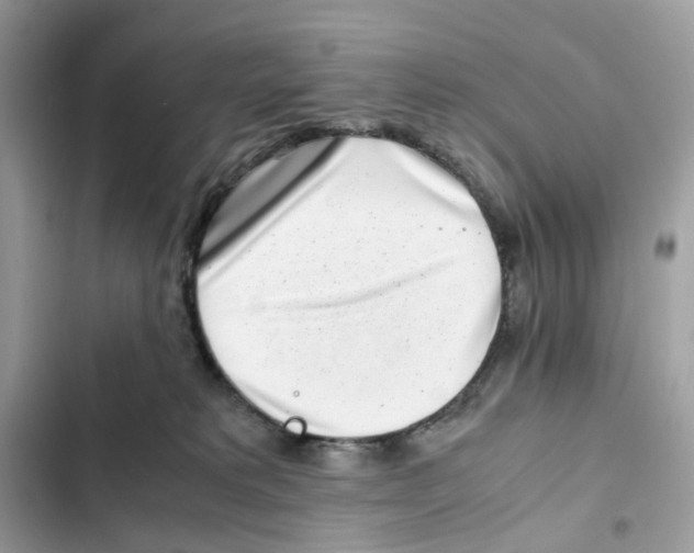 X0000101990229200808151431