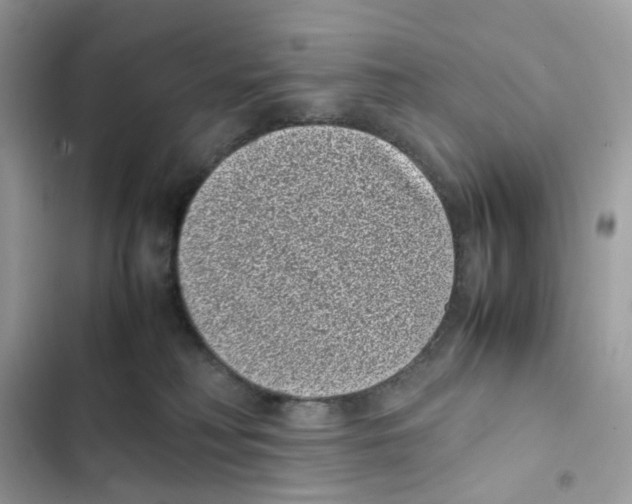 X0000101990230200808151431