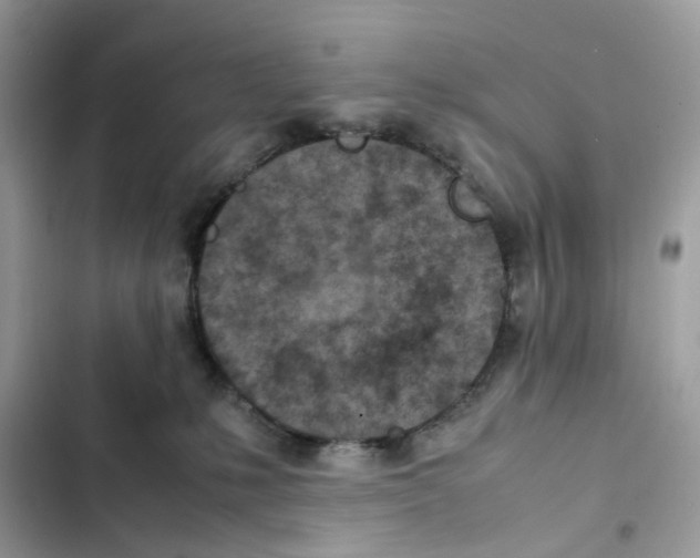 X0000101990231200808151431