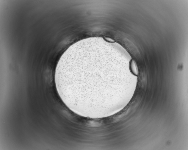 X0000101990232200808151431