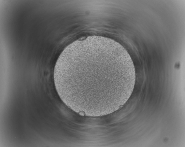 X0000101990233200808151431