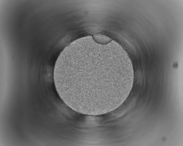 X0000101990234200808151431