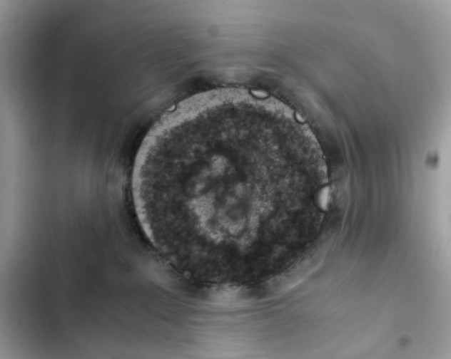 X0000101990235200808151431