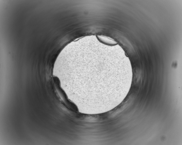 X0000101990236200808151431