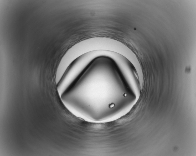 X0000101990237200808151431