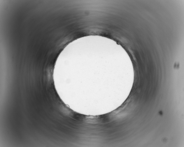 X0000101990240200808151431