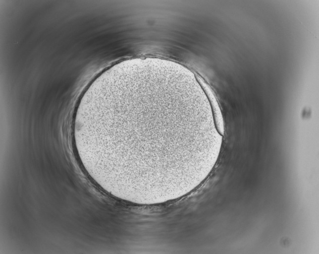X0000101990241200808151430