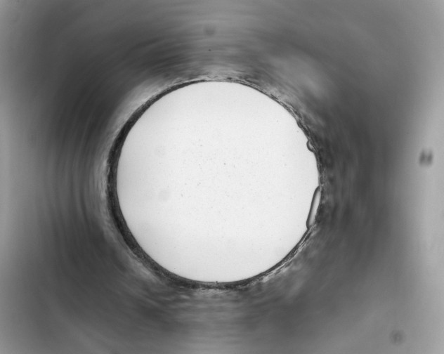 X0000101990242200808151430