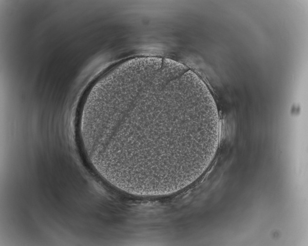 X0000101990243200808151430