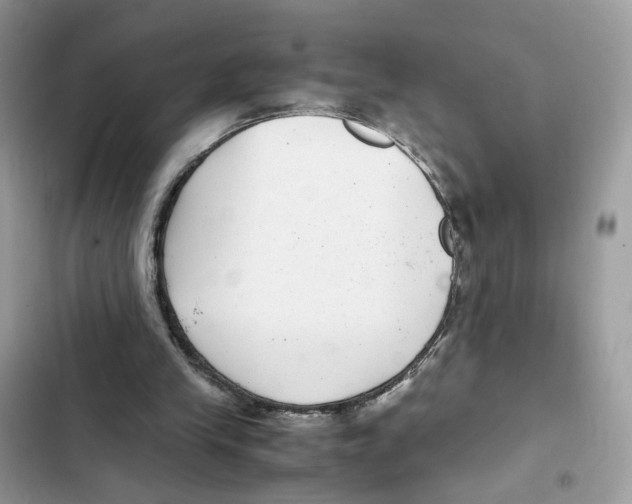 X0000101990245200808151430