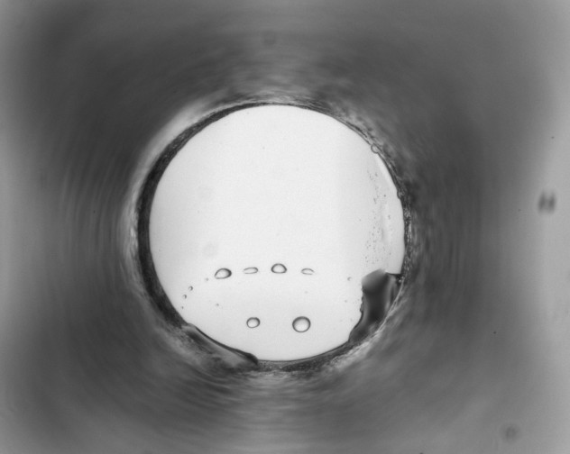 X0000101990246200808151430