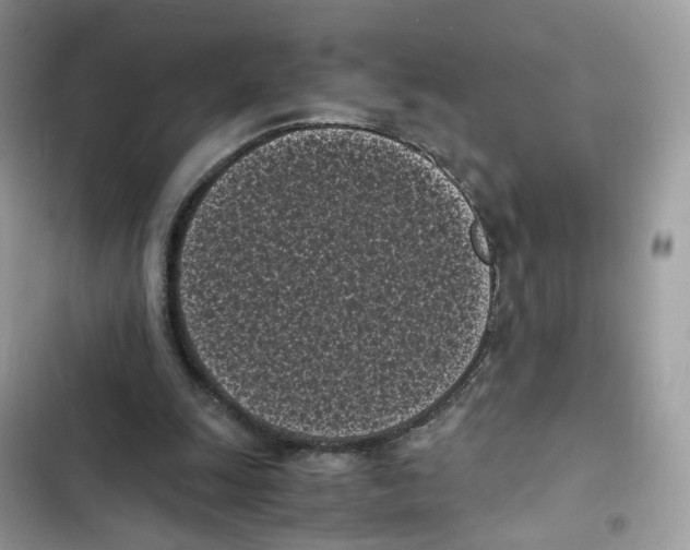 X0000101990247200808151430
