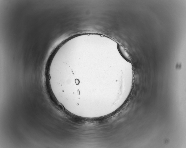 X0000101990248200808151430