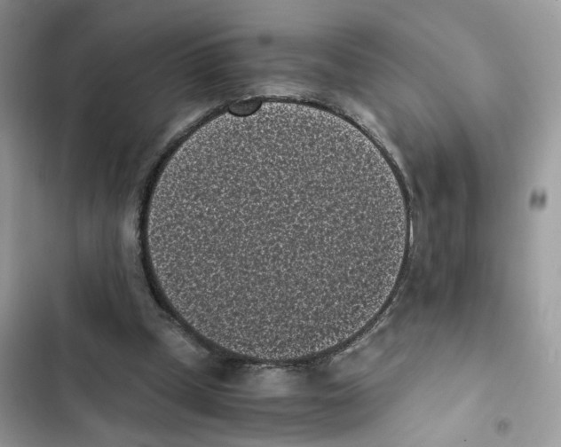 X0000101990249200808151430