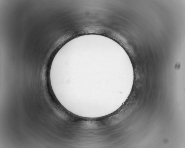X0000101990250200808151430