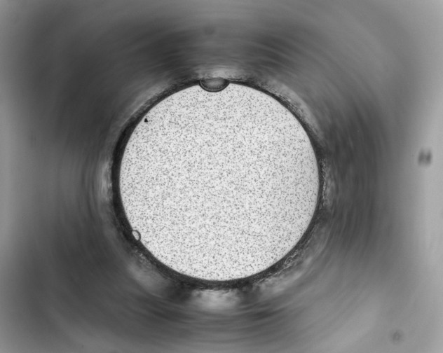 X0000101990251200808151430