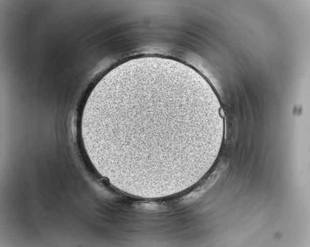 X0000101990253200808151430