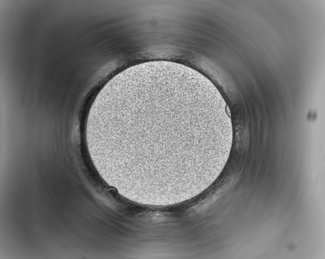 X0000101990254200808151430