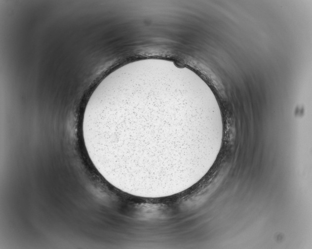 X0000101990255200808151430