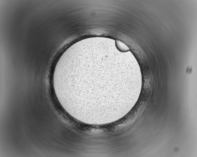 X0000101990256200808151430