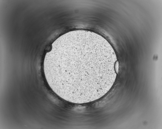 X0000101990257200808151430