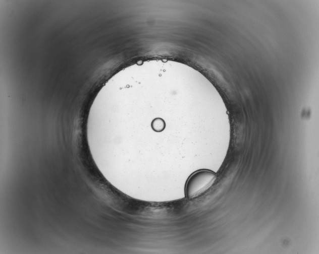 X0000101990260200808151431