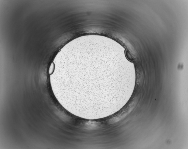 X0000101990261200808151431