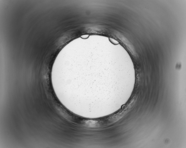 X0000101990265200808151431