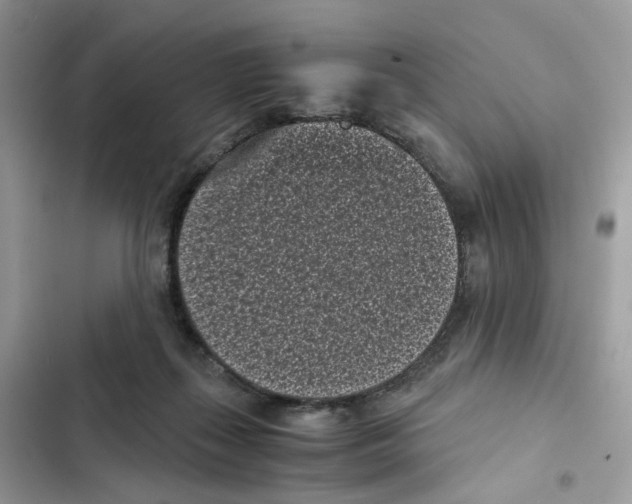 X0000101990267200808151431