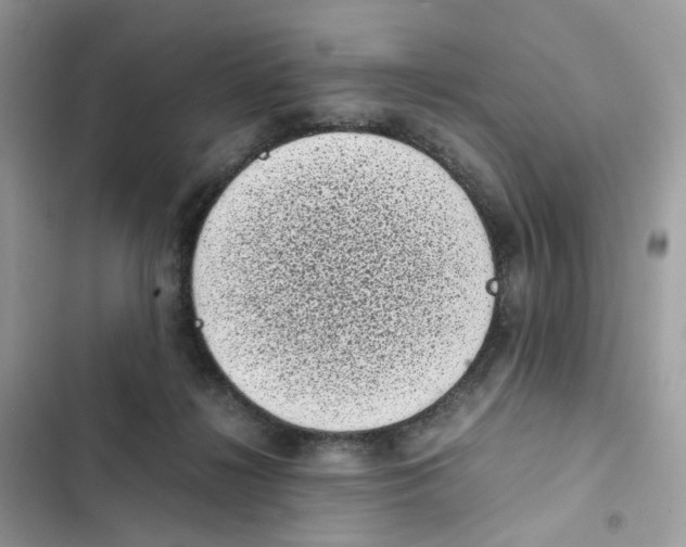 X0000101990268200808151431