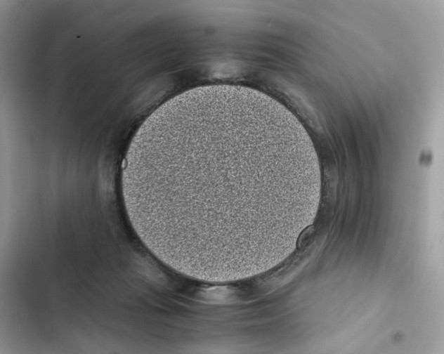 X0000101990269200808151431