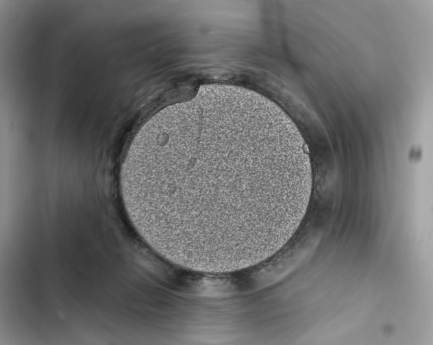 X0000101990270200808151431