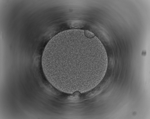 X0000101990271200808151431