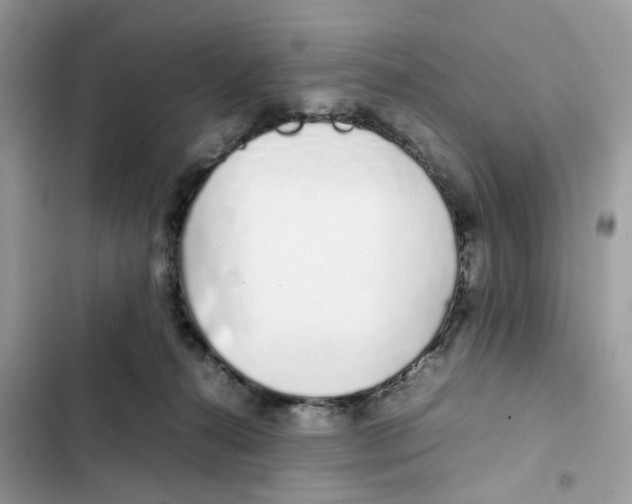 X0000101990272200808151431