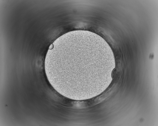 X0000101990273200808151431