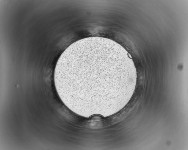 X0000101990275200808151431