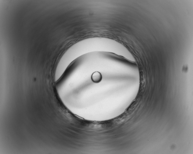 X0000101990276200808151431