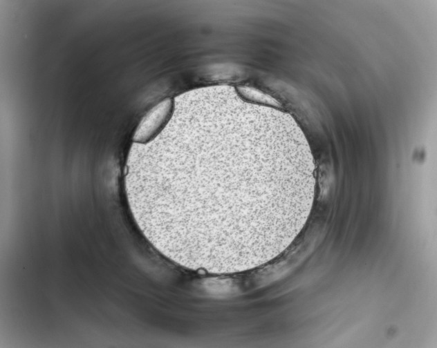X0000101990279200808151431