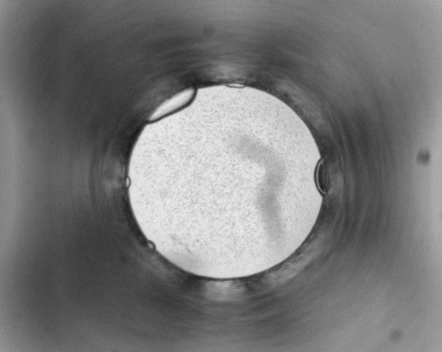X0000101990281200808151431