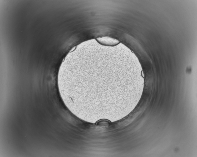 X0000101990282200808151431