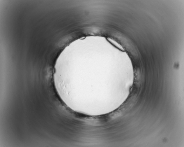 X0000101990284200808151431