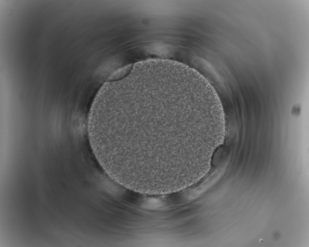 X0000101990285200808151431