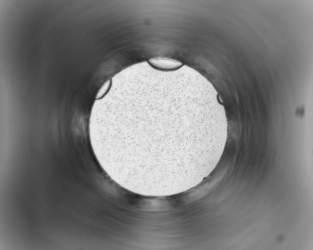X0000101990286200808151431