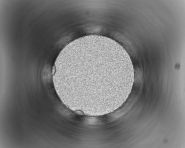 X0000101990287200808151431