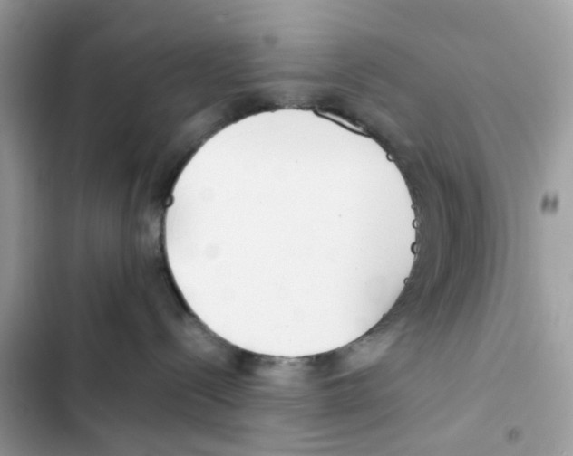 X0000101990288200808151431